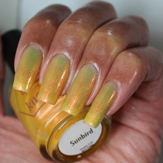 Image provided for Bee's Knees by a paid swatcher featuring the nail polish " Sunbird "