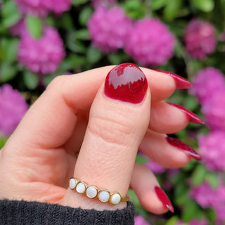 Wolves Have Better Manners