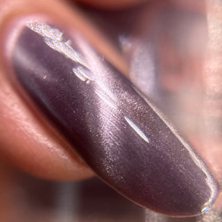 By the Light of the Moon