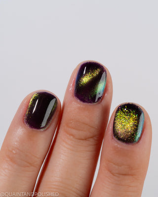 I Put the Omen in Women