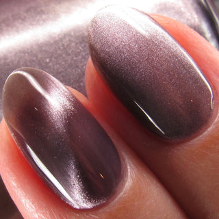 By the Light of the Moon