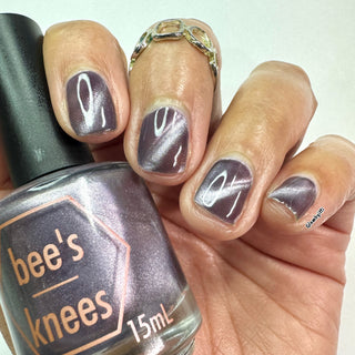 By the Light of the Moon