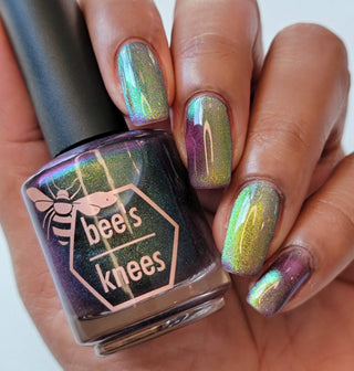 Shadows and Sunlight