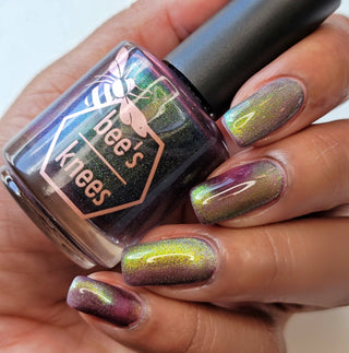 Shadows and Sunlight