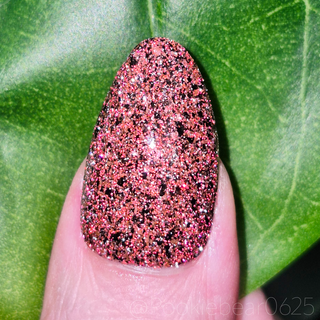 My Place was Never in this World