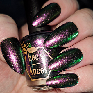 I Would Demand a Companion