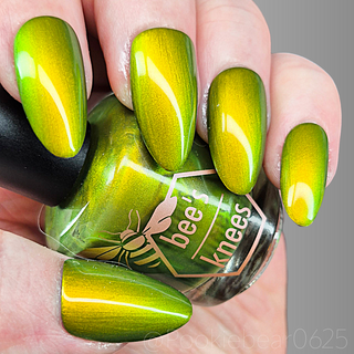 The Spirit of the Forest