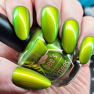 The Spirit of the Forest