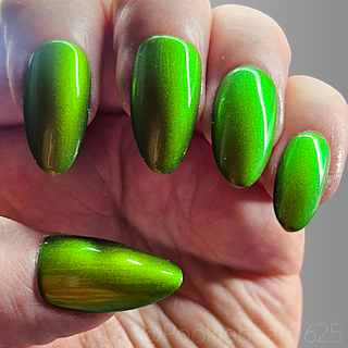 The Spirit of the Forest