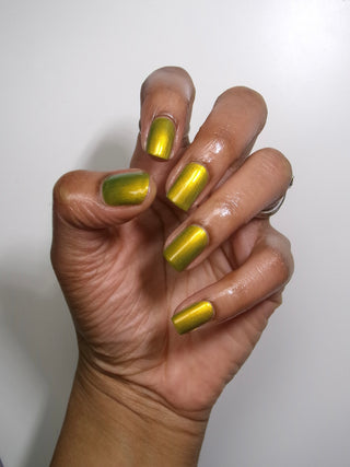 The Spirit of the Forest