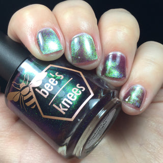 Shadows and Sunlight