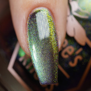 Shadows and Sunlight