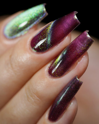 Shadows and Sunlight