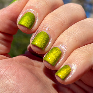 The Spirit of the Forest