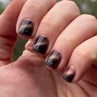 She is Gone and I Long to Follow