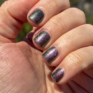 I Would Demand a Companion