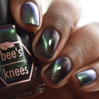 Shadows and Sunlight