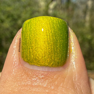 The Spirit of the Forest