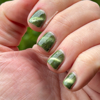 Image provided for Bee's Knees by a paid swatcher featuring the nail polish " Coercer "