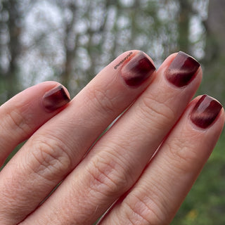 She is Gone and I Long to Follow