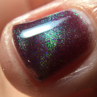 Shadows and Sunlight