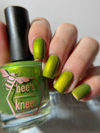 The Spirit of the Forest