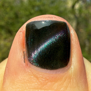 Forgive Yourself into Existence