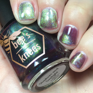 Shadows and Sunlight