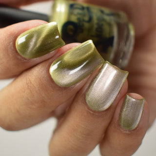 Image provided for Bee's Knees by a paid swatcher featuring the nail polish " Happy Tuesday "