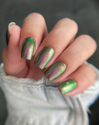 I Would Demand a Companion