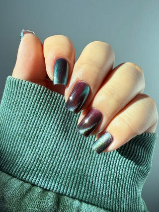 Shadows and Sunlight