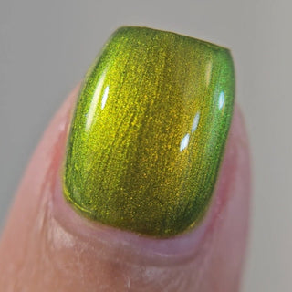 The Spirit of the Forest