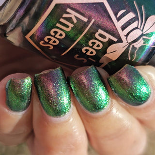 I Would Demand a Companion