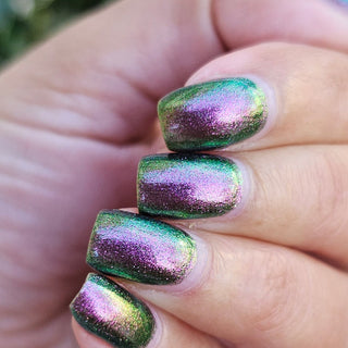 I Would Demand a Companion