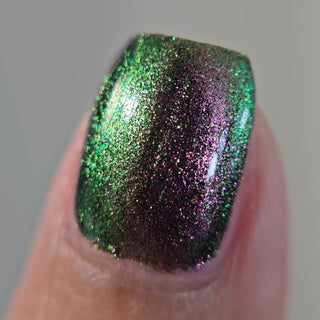 I Would Demand a Companion