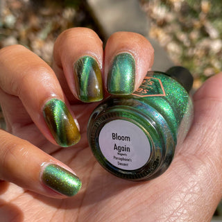 Bloom Again