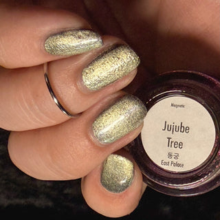 Jujube Tree