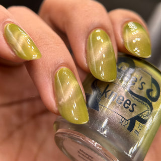 Image provided for Bee's Knees by a paid swatcher featuring the nail polish " Happy Tuesday "