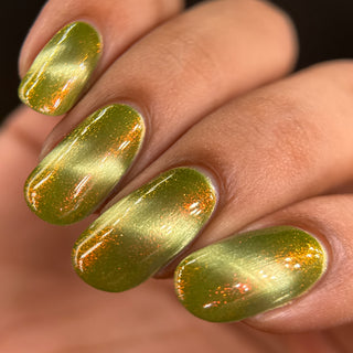 Image provided for Bee's Knees by a paid swatcher featuring the nail polish " This One is Declined "