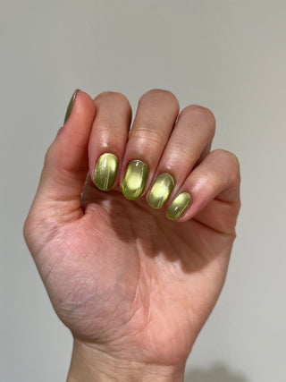 Touch Moss