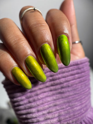 The Spirit of the Forest