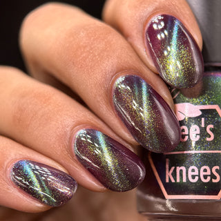 Shadows and Sunlight