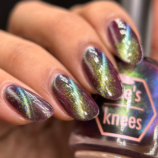 Shadows and Sunlight