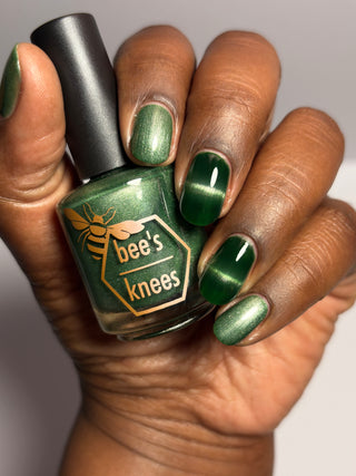 Believing Something does not Make it True