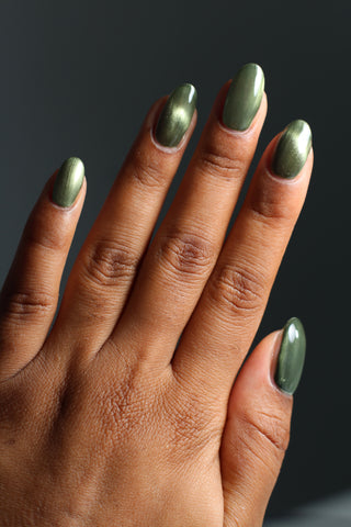 Scales and Scutes