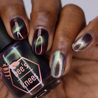 Shadows and Sunlight