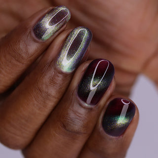 Shadows and Sunlight