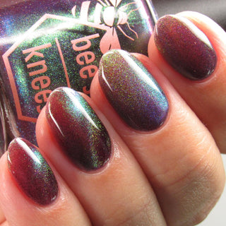 Shadows and Sunlight