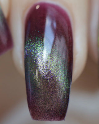 Shadows and Sunlight