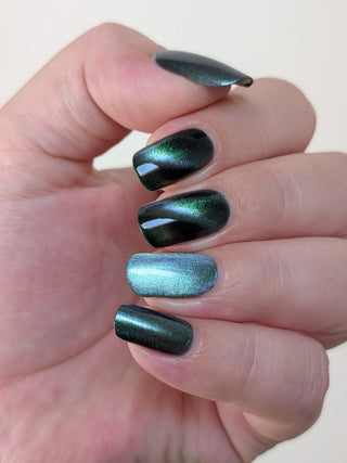 Image provided for Bee's Knees by a paid swatcher featuring the nail polish " Midnight Yoga and Seaweed "